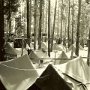 Bivouac in the pines.